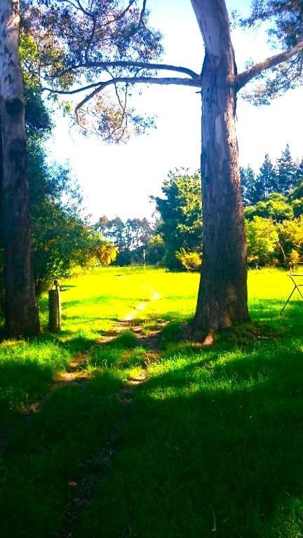 Taringatura Backpackers Pansiyon Benmore Dış mekan fotoğraf